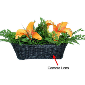 Artificial Plant Decor with Discreet, WiFi-Enabled 4K Hidden Camera Artificial Decorative Fern Features a Hidden Camera with a Wide Viewing Angle